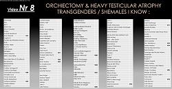 Click image for larger version. 

Name:	Orchiectomy Shemales List.JPG 
Views:	1786 
Size:	260.7 KB 
ID:	1306786