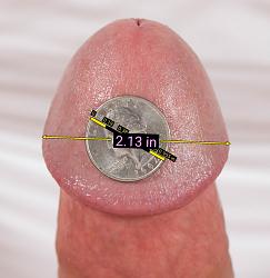 Click image for larger version. 

Name:	FM8xcfMj_o.jpg 
Views:	664 
Size:	185.9 KB 
ID:	1335385