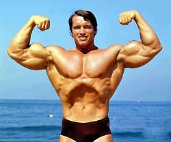Click image for larger version. 

Name:	arnoldschwarzenegger.jpg 
Views:	33 
Size:	49.5 KB 
ID:	1348438