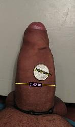 Click image for larger version. 

Name:	Belladonna.jpg 
Views:	779 
Size:	190.7 KB 
ID:	1413845