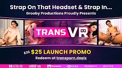 Click image for larger version. 

Name:	apd-transvr-d02.jpg 
Views:	235 
Size:	968.3 KB 
ID:	1424850