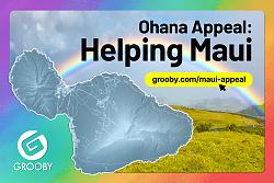 Click image for larger version. 

Name:	appeal-for-maui-pr-1200x800.jpg 
Views:	33 
Size:	729.6 KB 
ID:	1427182