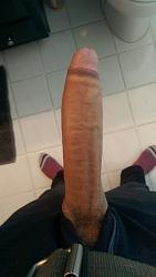 Click image for larger version. 

Name:	DTS shows cock 63 (10).jpg 
Views:	163 
Size:	30.3 KB 
ID:	1461054