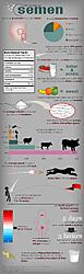 Click image for larger version. 

Name:	8boxy0wvw0id1.jpeg 
Views:	175 
Size:	345.1 KB 
ID:	1463151