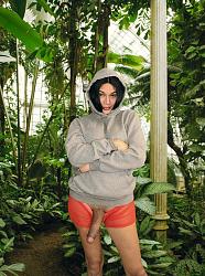 Click image for larger version. 

Name:	Mint 4.jpg 
Views:	21 
Size:	244.8 KB 
ID:	1508066