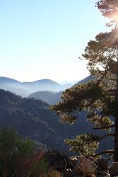 Click image for larger version. 

Name:	IMG_2400sm.JPG 
Views:	859 
Size:	671.2 KB 
ID:	489485