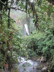 Click image for larger version. 

Name:	237.jpg 
Views:	755 
Size:	448.4 KB 
ID:	560835