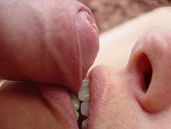 Click image for larger version. 

Name:	pic tumblr_nwwms0HY1s1uiyy1eo1_500.jpg 
Views:	120 
Size:	82.0 KB 
ID:	890296