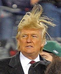 Click image for larger version. 

Name:	trump-hair.jpg 
Views:	89 
Size:	177.1 KB 
ID:	909776
