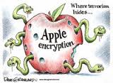 Name:  apple images.jpg
Views: 178
Size:  5.7 KB