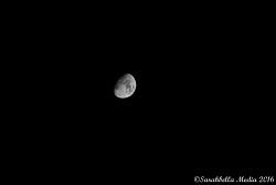 Click image for larger version. 

Name:	Sarahbella_Media_029.jpg 
Views:	80 
Size:	43.8 KB 
ID:	928841