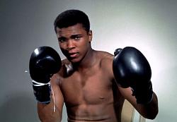 Click image for larger version. 

Name:	The champ.jpg 
Views:	43 
Size:	45.5 KB 
ID:	940055