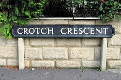 Click image for larger version. 

Name:	Crotch Crescent.jpg 
Views:	204 
Size:	138.1 KB 
ID:	943556