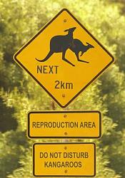 Click image for larger version. 

Name:	funny-road-signs-23.jpg 
Views:	100 
Size:	52.8 KB 
ID:	970653