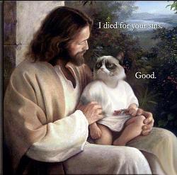 Click image for larger version. 

Name:	IMG_1476.JPG 
Views:	99 
Size:	103.9 KB 
ID:	974125