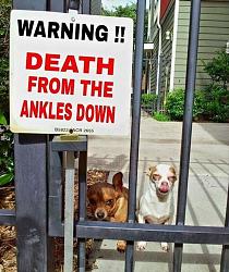 Click image for larger version. 

Name:	signs ec87d38e0431e86eb6f9387644a80540.jpg 
Views:	89 
Size:	81.7 KB 
ID:	977351