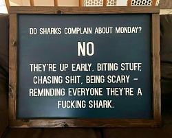 Click image for larger version. 

Name:	signs tumblr_ocase1B1w41u17plpo1_540.jpg 
Views:	64 
Size:	77.1 KB 
ID:	977810
