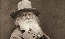 Click image for larger version. 

Name:	w. whitman 3864.jpg 
Views:	67 
Size:	609.9 KB 
ID:	996242
