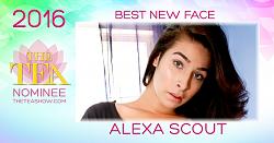 Click image for larger version. 

Name:	AlexaScout.jpg 
Views:	206 
Size:	62.6 KB 
ID:	901946
