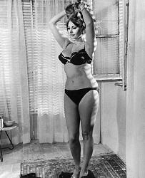 Click image for larger version. 

Name:	pic gg Sophia Loren 1965 42397451_2250815754993526_21404257282424832_n.jpg 
Views:	111 
Size:	78.9 KB 
ID:	1096168