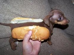 Click image for larger version. 

Name:	in-bread hot dog .jpg 
Views:	291 
Size:	15.3 KB 
ID:	426805