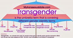 Click image for larger version. 

Name:	my transsexual date version of transgender umbrella.jpg 
Views:	31 
Size:	138.0 KB 
ID:	1025737