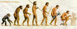 Click image for larger version. 

Name:	Evolution of man.jpg 
Views:	739 
Size:	35.7 KB 
ID:	360531