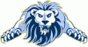 Lion's Avatar