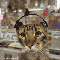 Ozz's Avatar